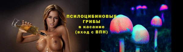 прущая мука Алзамай