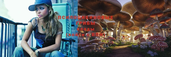 прущая мука Алзамай