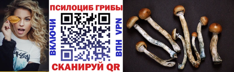 наркошоп Каневская даркнет официальный сайт Галлюциногенные грибы MAGIC MUSHROOMS